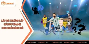 câu hỏi thường gặp