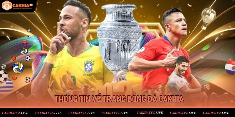 Thông tin giới thiệu về chúng tôi trang cá cược